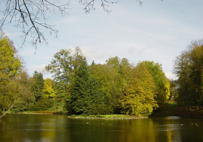 Ostrůvek v rybníku Dalberg